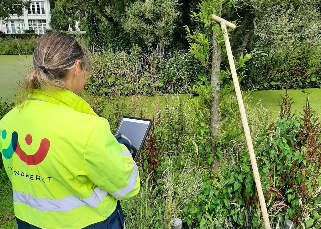 groen-medewerkster met iPad